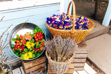 Colorful flowers in baskets arranged outside a quaint shop in springtime