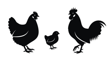 Fototapeta premium Black chickens and roosters silhouette vector