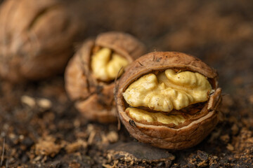 Walnut peeled kernels and whole walnuts on rustic wooden background. Healthy nuts food. Macro. Cracked shells