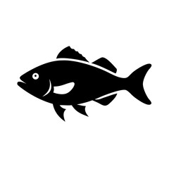 Common Bream Fish - European Freshwater Species