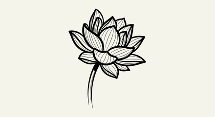 Elegant Lotus Flower Bloom with Stem in Minimalist Line Art on a Bright Isolated Background