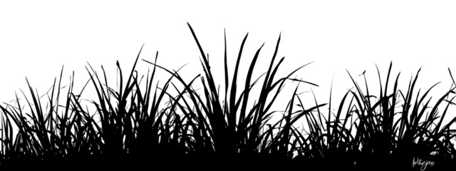 Abstract explosion of dark particles with scattered light
