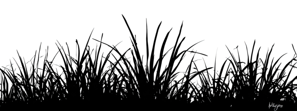 Abstract explosion of dark particles with scattered light