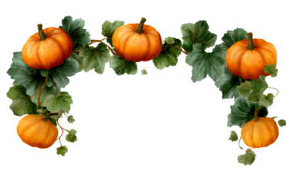 Pumpkin Border with Green Leaves and Vine Elements Isolate on Transparent Background, cutout, png