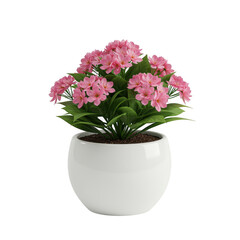 Fototapeta premium Pink flowers in a white pot isolated on transparent background