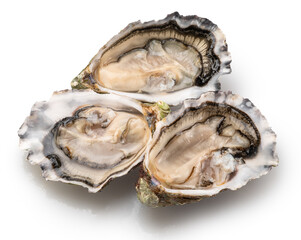 Opened raw oysters isolated on white background, clipping path. Delicacy food. © volff