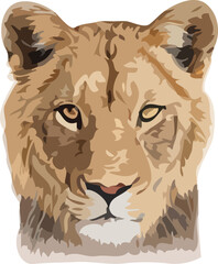 lion vector art