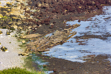 Wreckage of the historic SS Falcon steamship at low tide in Langdon Bay, Dover.