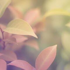 Pastel Leaves Close Up with Delicate Colors and Soft Lighting