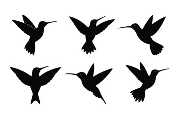 Fototapeta premium Black Hummingbird silhouette vector bundle, Set of Hummingbird silhouette vector illustration