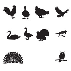 A collection of ten different black bird silhouettes isolated on a white background, including poultry and wild birds.