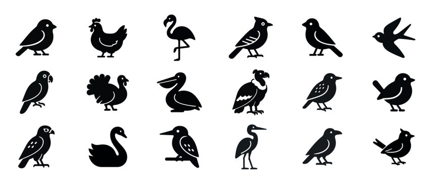 Silhouette collection of various birds including owl, hummingbird, and peacock. Black solid icon