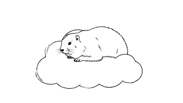 Hand drawn groundhog on cloud illustration against white background