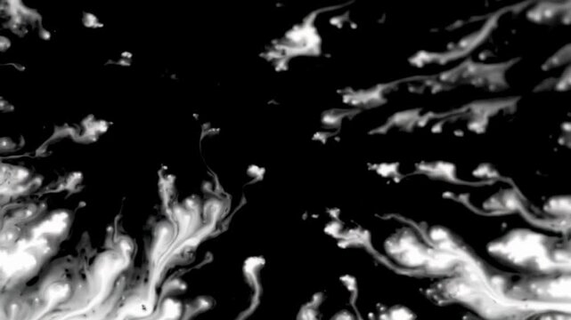 Extreme macro video: vibrant black ink drops expand on a pure white background, forming intricate fractal patterns via fluid dynamics, high-key studio light. Elegant abstract reveal concept