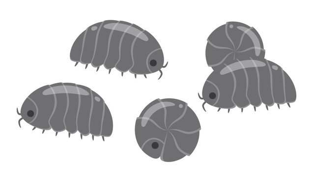 かわいいダンゴムシが集まって自由に移動しているイラスト