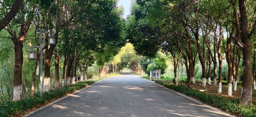 Tranquil Arbor Trail: Urban Wellness Haven