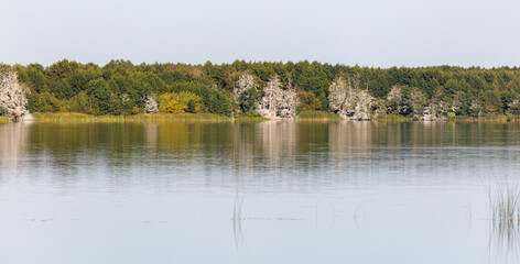 A lake with trees in the background