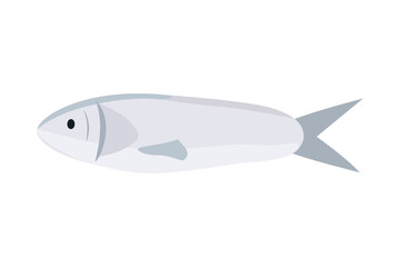 Cartoon Fish Illustration. Silver Fish Illustration. Silver Gray Fish Side View. Simple Aquatic Animal