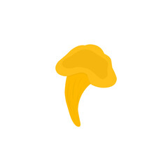 Illustration of chanterelle mushrooms. Illustration of yellow mushrooms. Illustration of wild mushrooms. Illustration of mushroom types