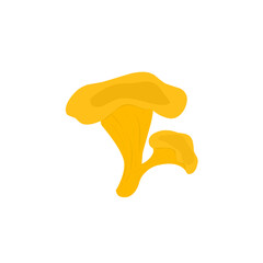 Illustration of chanterelle mushrooms. Illustration of yellow mushrooms. Illustration of wild mushrooms. Illustration of mushroom types