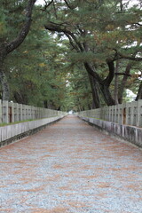 Fototapeta premium 和風の道