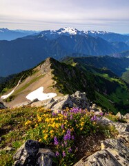 Mountain landscape with wildflowers