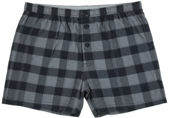 Boxer shorts checkered pattern illustration design isolated