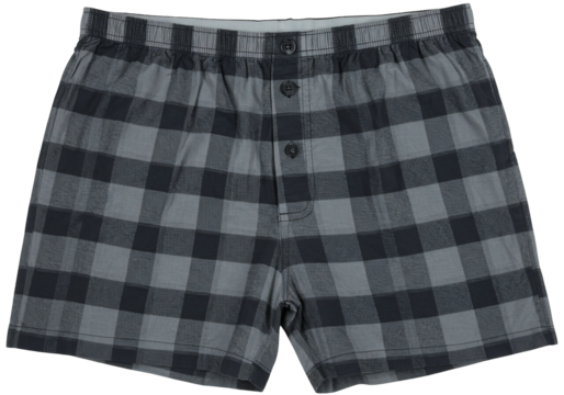 Boxer shorts checkered pattern illustration design isolated