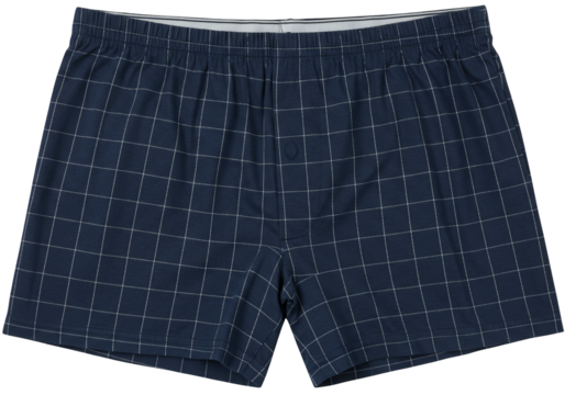Boxer shorts in navy with grid pattern isolated
