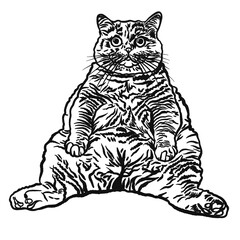 Fat cat