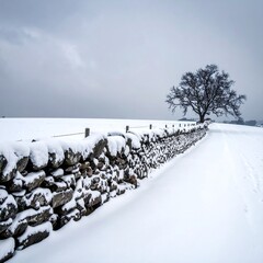 Snowy landscape with stone wall and lone tree