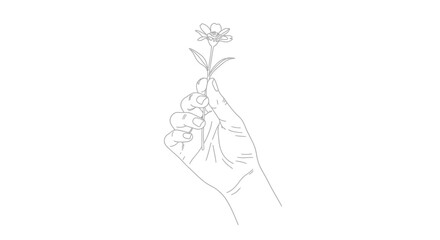 Hand Gently Holding a Delicate Flower, Offering Beauty and Care, Isolated White Background