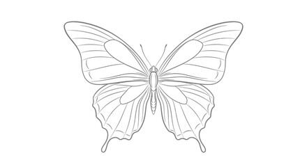 Elegant butterfly with stylized wing patterns, resting with gracefully spread wings, depicted in a bright studio.