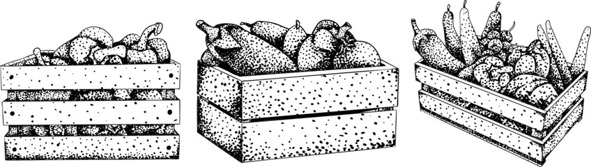 Intricate black-and-white engraving of three crates filled with assorted fruits and vegetables, ideal for farm, market, or rustic design projects.