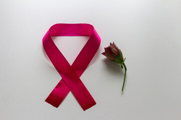 Emblem for World AIDS Day and a red rose bud. On a white background.