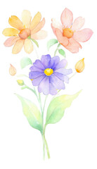 Obraz premium bouquet of flowers daisy purple orange pink green yellow isolated spring summer seasonal pretty