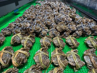Fresh hairy crabs displayed in a seafood market
