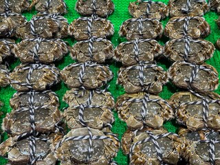 Fresh hairy crabs displayed in a seafood market