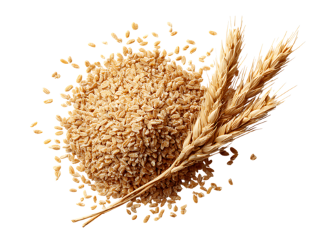 wheat bran detailed natural texture composition