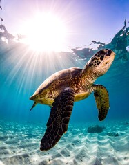 Underwater shot of a sea turtle swimming near the surface, sunbeams shining through the water