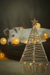 Cute dog with Christmas lights in cozy winter atmosphere