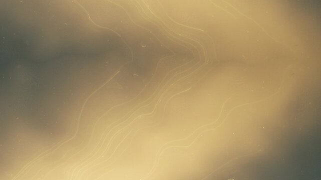 Warm, ethereal abstract background with a soft golden glow and subtle light leak effect