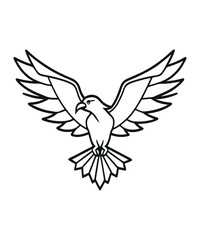 A bold line drawing of a soaring eagle illustration