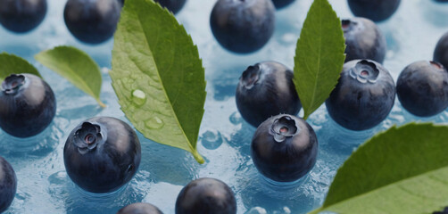 This is a close up of bunch blueberries on blue plate movement gesture frame elements scene backgrounds layers expression creative depth design colorful motion emotion style figure