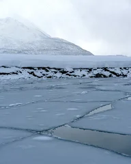 Gordijnen Poolcirkel Sea Ice formation in Norway  © Hortigüela