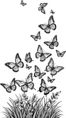 Fototapeta premium Black and white illustration of butterflies emerging from grass