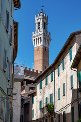Obraz premium Palazzo Pubblico Tower and Street