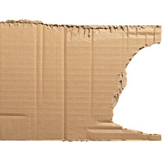 Torn brown cardboard piece with vertical ridges and irregular edge against a black background
