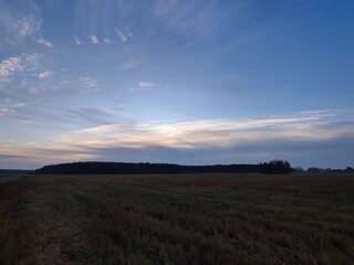 Obraz premium A beautiful view of a bright blue sky with gray and white clouds, harvested crops, a yellow field, and forests on the horizon in autumn on a farm in the countryside.