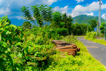 Fototapete bei efototapeten.de bestellen   